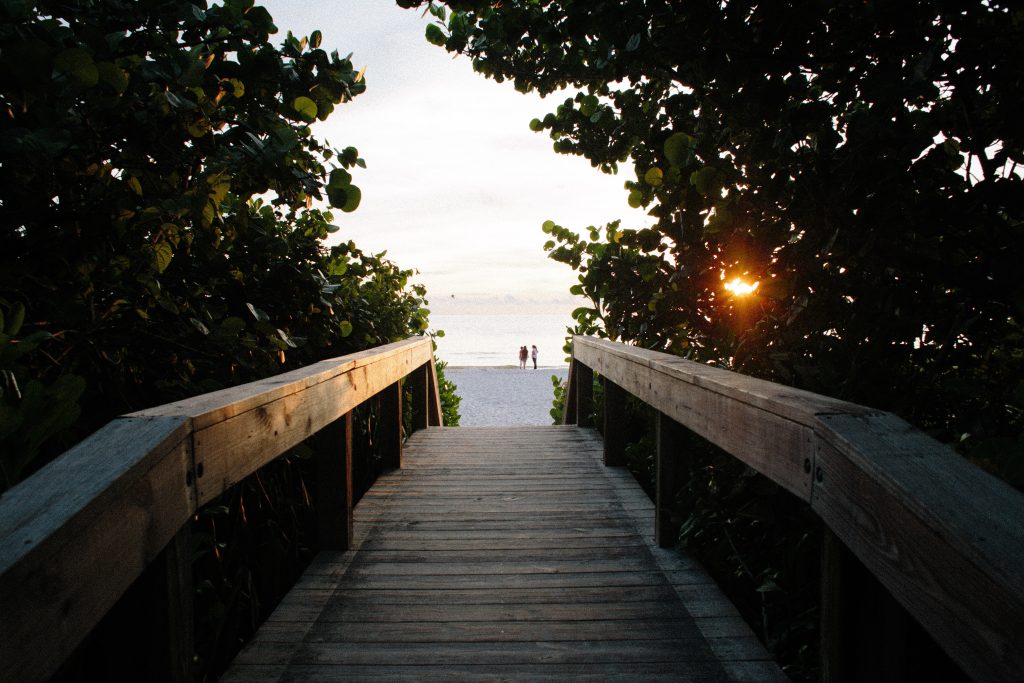 naples, florida ridge leading to ocean with beautiful and calm trees on each side of the bridge