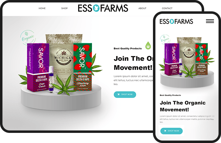 E-commerce Website Design