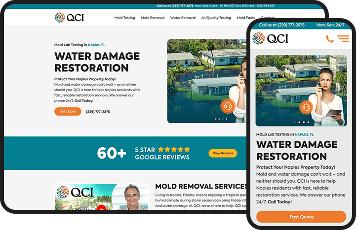 Mold Services Website Design